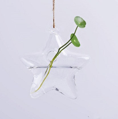 Hanging glass plant vase