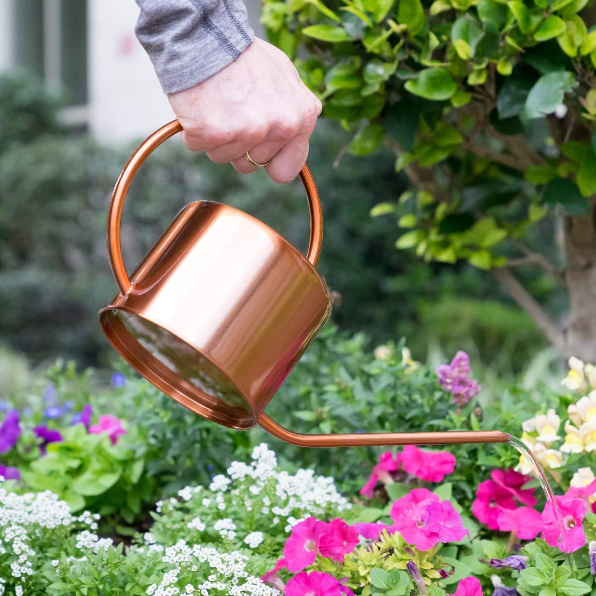 Long Spout Watering Jug