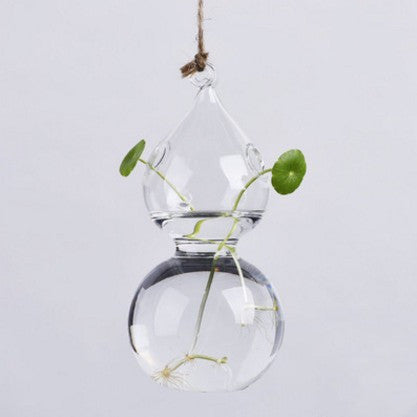 Hanging glass plant vase